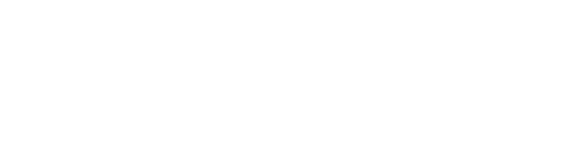 bsc-logo